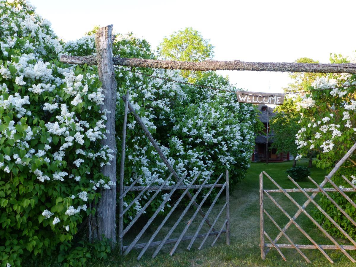 Toomalouka Tourist Farm Hotel Eksteriør billede